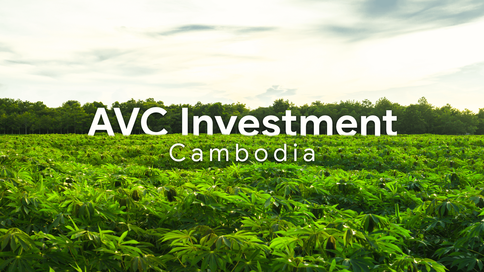 Home - AVC